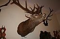 a 198